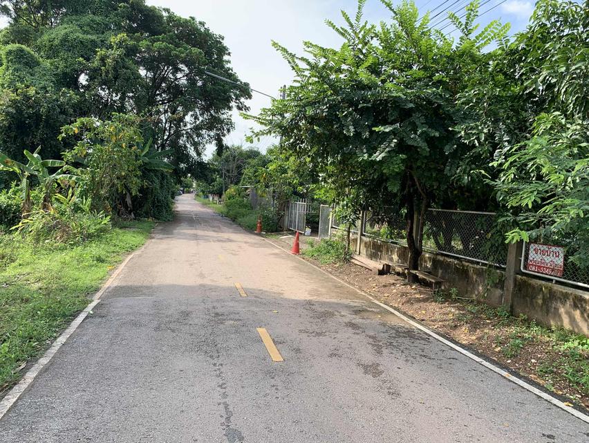 ที่ดินรูปสี่เหลี่ยมพร้อมโฉนดที่ดิน  11