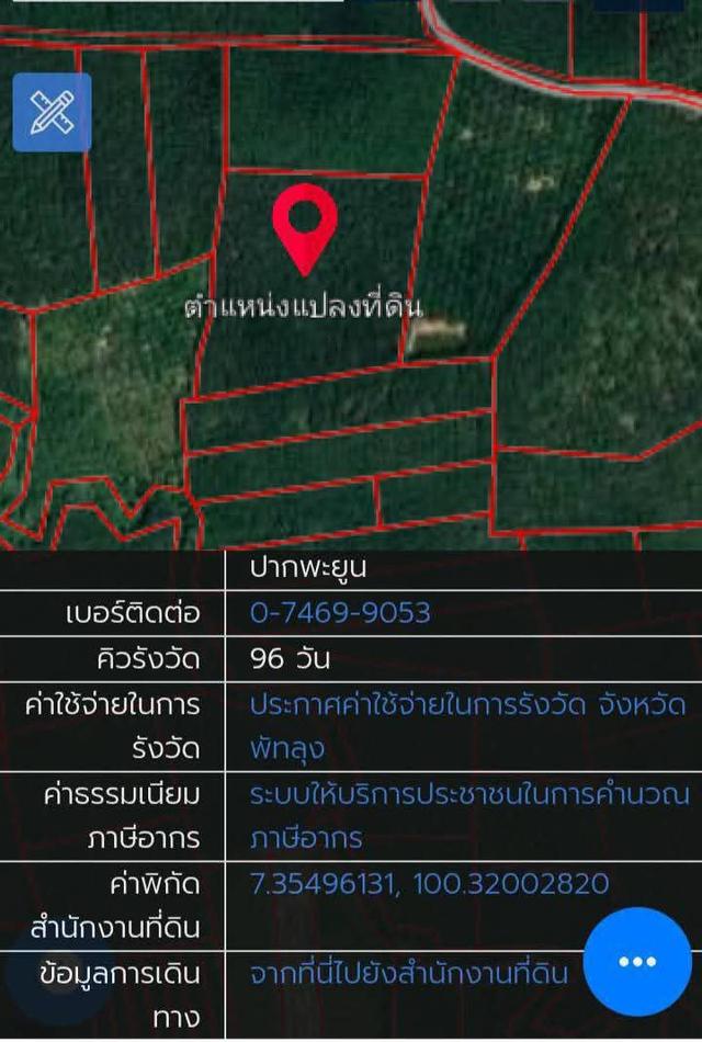 ที่ดินสวนยางพารา หมู่บ้านป่าบอนต่ำ อ.ป่าบอน จ..พัทลุง 6