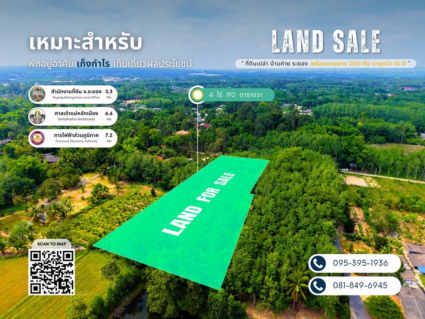 ขายที่ดิน อ.บ้านค่าย จ.ระยอง - 4 ไร่ 1 งาน 92.3 ตารางวา 3