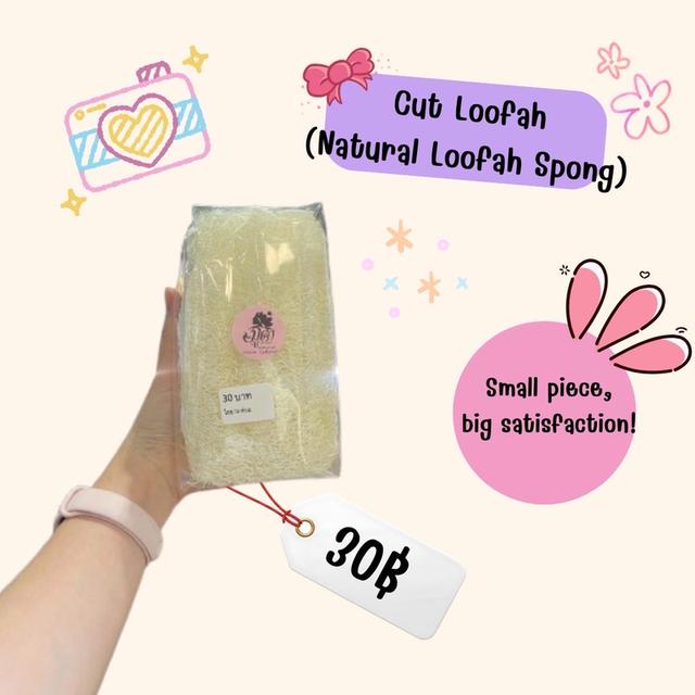 🌿 Cut Loofah (Natural Loofah Sponge)