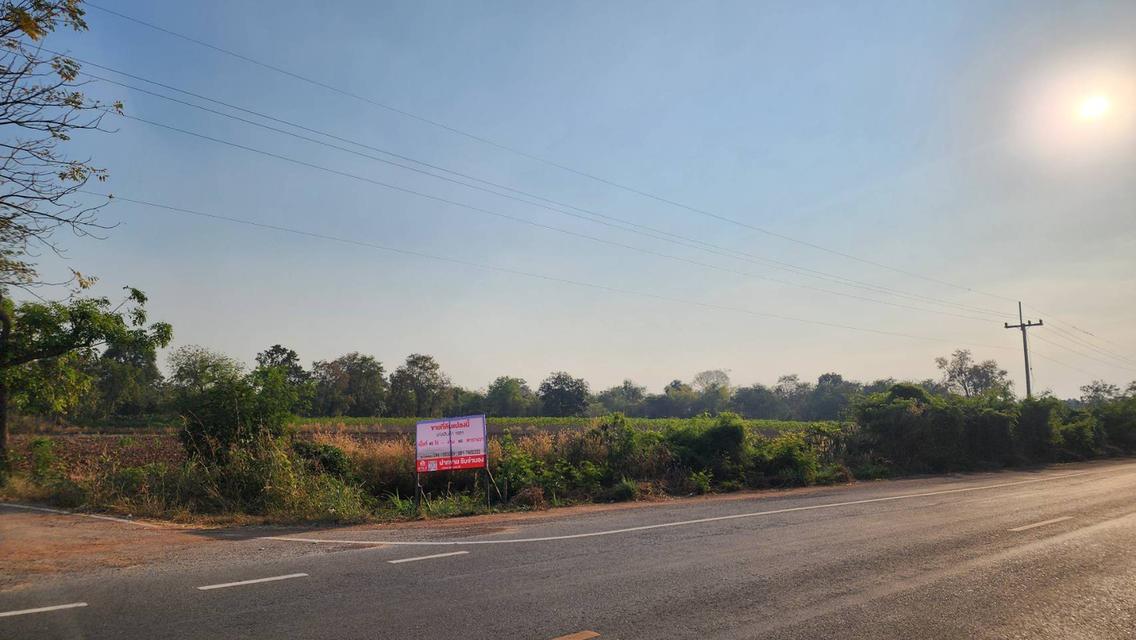 ที่ดินอำเภอหนองไผ่ จังหวัดเพชรบูรณ์ 3