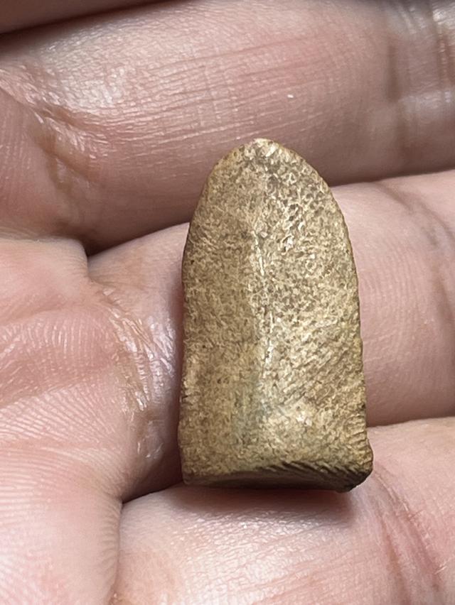 พระรอด เก่ากุมหาวัน จ.ลำพูน รูปที่ 5