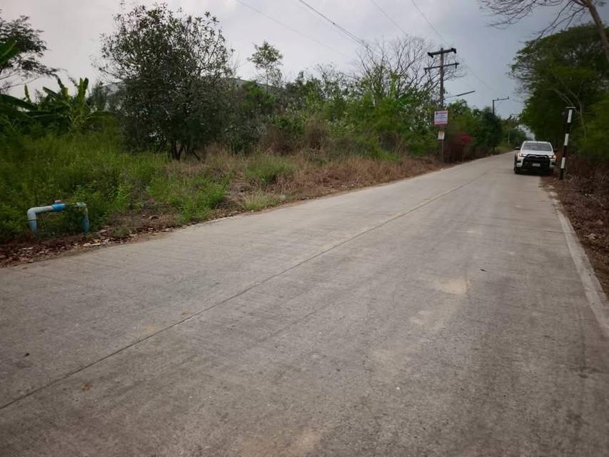 ขายด่วนที่ดิน 156 ตารางวา ติดถนนสาธารณะ แปลงมุม คลองหกตะวันตก 69 คลองหลวง ปทุมธานี 4