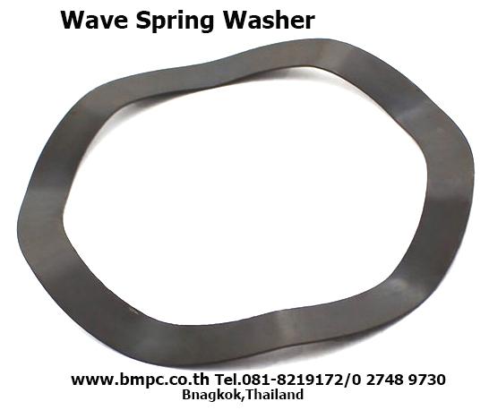 Plate spring, Bearing preload spring, Schnorr, Disc spring, แหวนสปริงจาน, แหวนกะทะ, Belleville washer