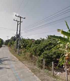 ขายที่ดิน พร้อมสวนลำไย ถ.ท่าศาลา อ.จอมทอง จ.เชียงใหม่ เนื้อที่8ไร่ 2