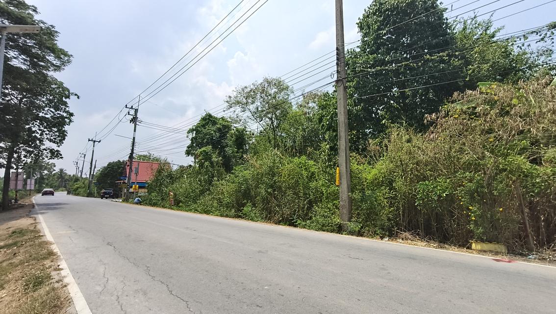ที่ดินนครชัยศรี ใกล้ด่านขึ้น-ลงM81 5