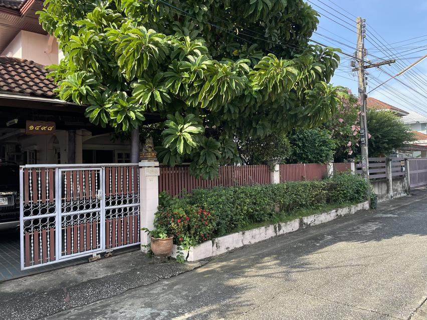 ขายบ้านเดี่ยว เนื้อที่ 55 ตรว. รังสิต 18