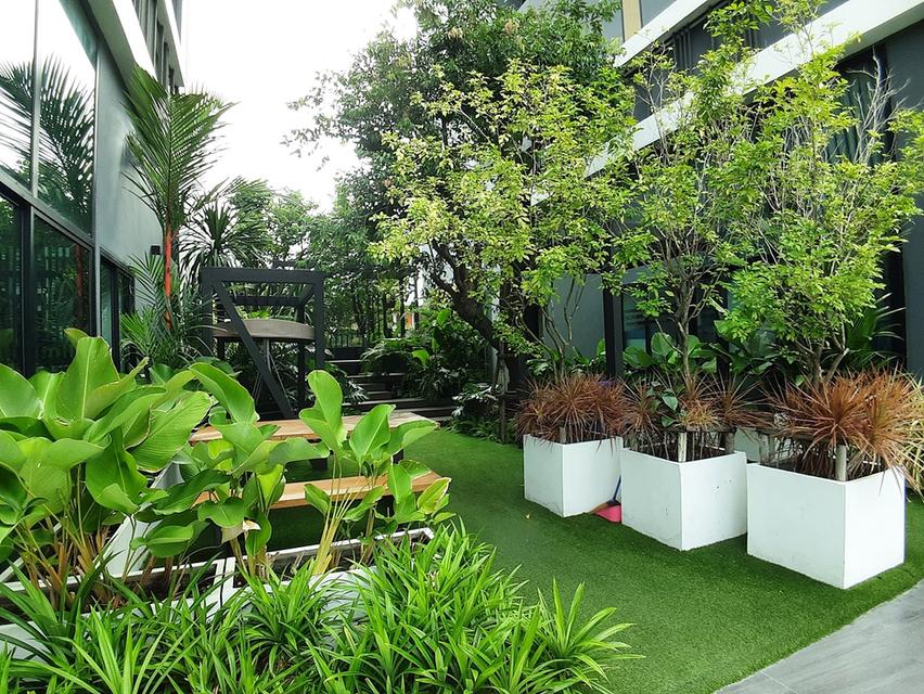 Condo