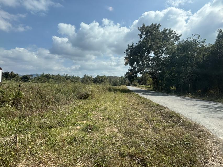 ที่ดินเปล่า ด้านหลังอำเภอ วังน้ำเขียว แบ่งขาย ได้ 6