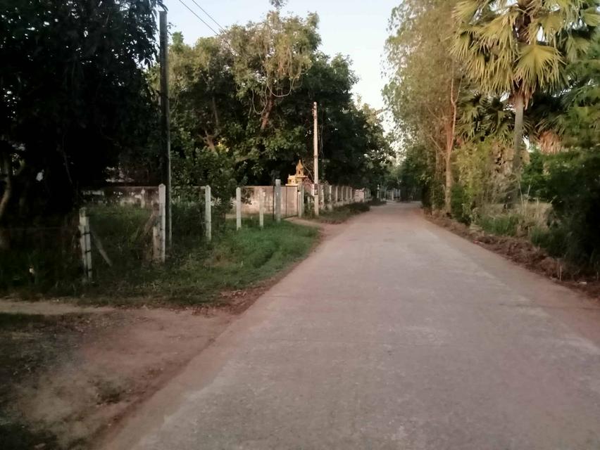 ขายบ้านพร้อมที่ดิน2ชั้น ตำบลหลุมข้าว อำเภอโนนสูง จังหวัดนครราชสีมา 8