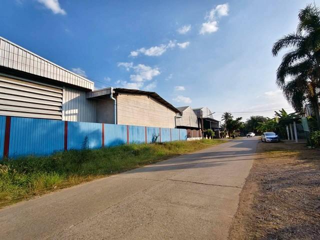 ขายโกดังโรงงานบ่อทองชลบุรี เนื้อที่ 4-2-73 ไร่ พื้นที่สีเหลืองอ่อนเขต EEC ธุรกิจเดิมผลิตไม้พาเลท 8