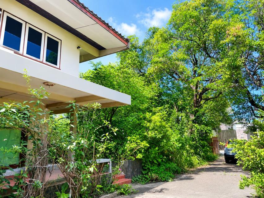 ขายที่ดินลาดพร้าว พร้อมสิ่งปลูกสร้าง 398 ตร.ว. ซอยลาดพร้าว 1 แยก 4-5 ใกล้ Central ลาดพร้าว และ MRT พหลโยธิน 4