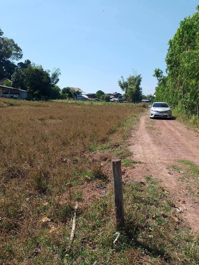 วงศวัฒน์ปัญญาวุฒิวงษ์ 5