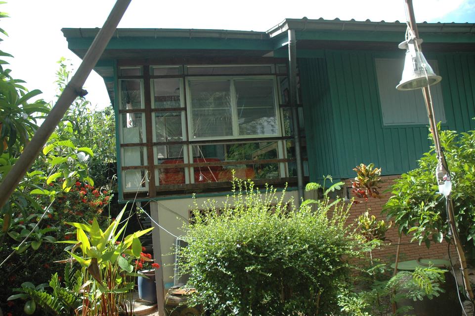 ขายที่ดินพร้อมสิ่งปลูกสร้าง 4