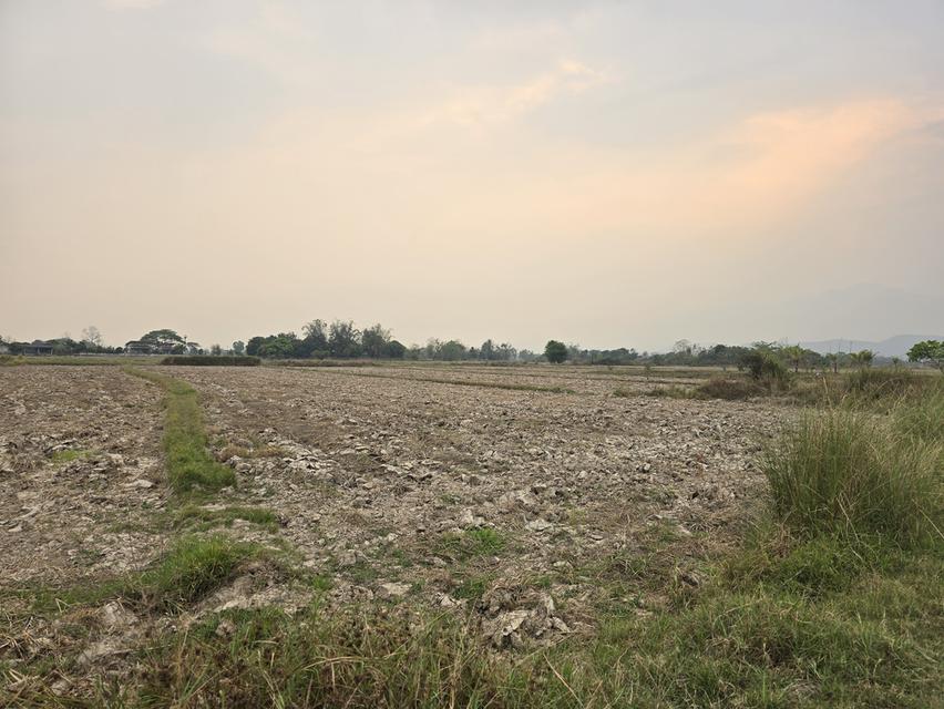 ที่ดินสวยทำเลดีใกล้กว๊านพะเยา 8