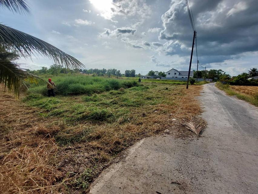 ขายที่ดิน 2 ไร่ มีโฉนด ติดถนนลาดยาง อ.บ้านนา ขายยกแปลง 1.75 ล้านบาท ถมแล้ว 6