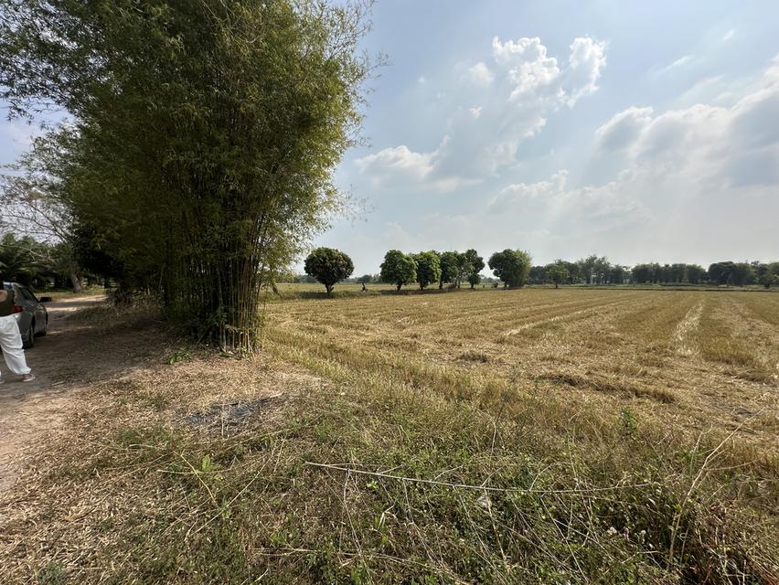 ขายที่ดิน เนื้อที่ 13-2-31.5 ไร่ ตำบลสาริกา อำเภอเมือง จังหวัดนครนายก 5