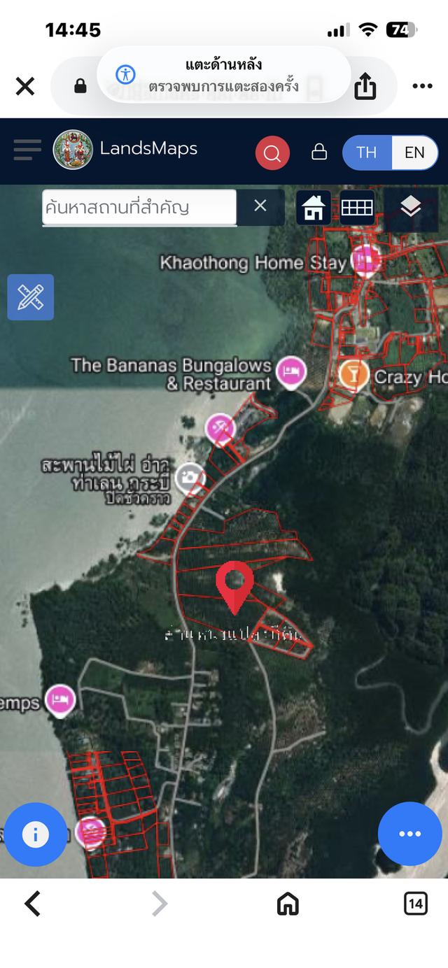 ที่ดิน ติดทะเล สวนปาล์ม 6