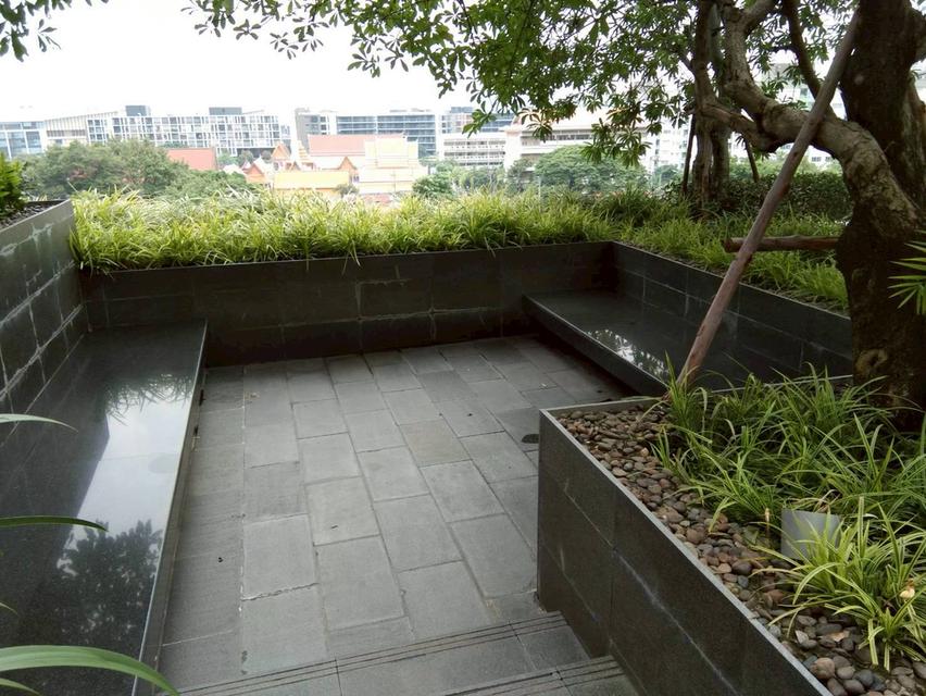 ให้เช่าคอนโด Life @ Sukhumvit 65 – คอนโดใจกลางสุขุมวิท ใกล้ BTS พระโขนง (N.1768) 19