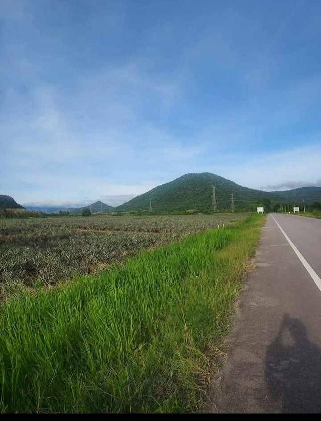 ที่ดิน 2