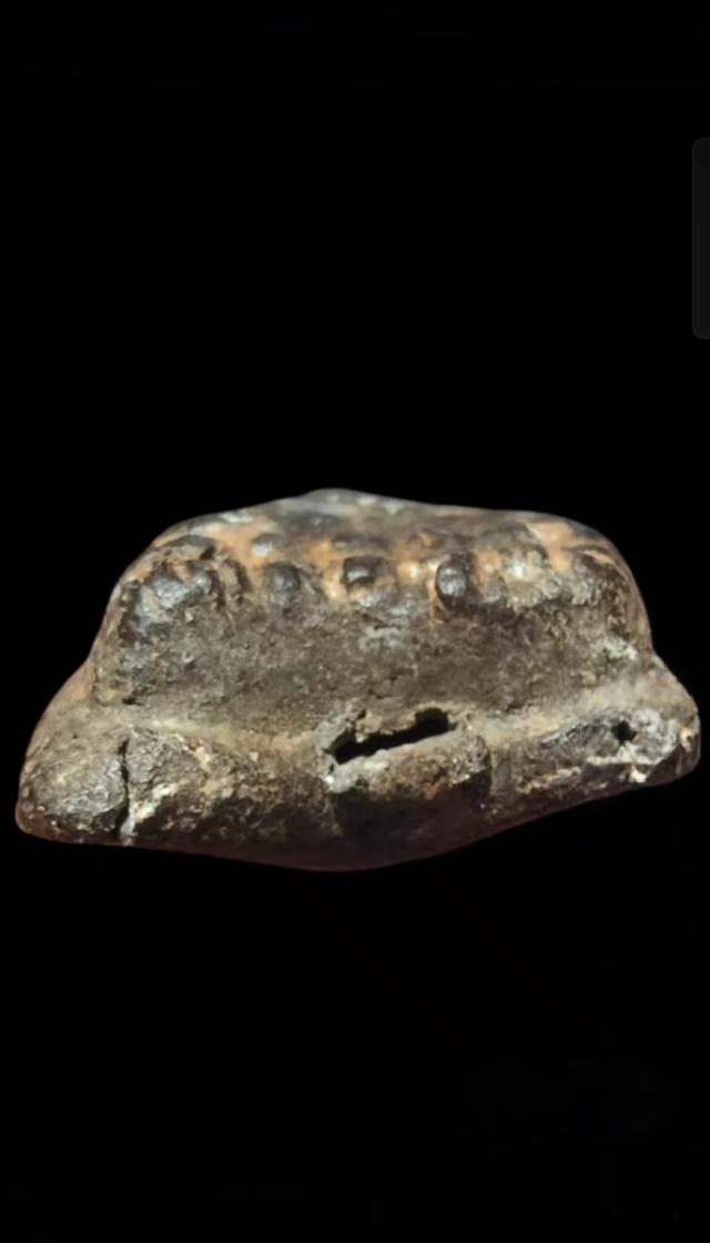 หลวงปู่ทวดวัดช้างให้เนื้อว่าน 2497 5