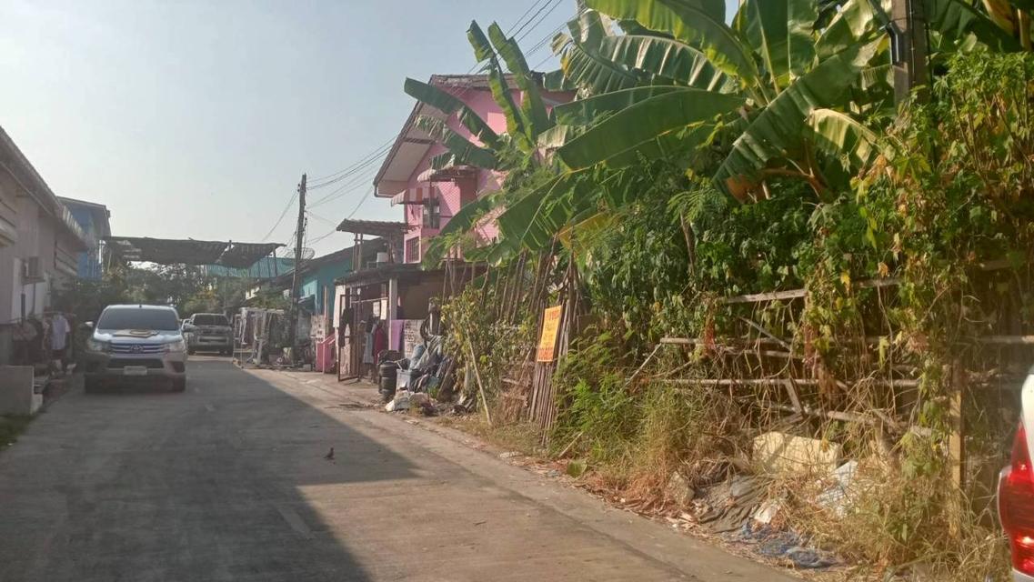 ขายที่ดินเปล่า ซอยร่วมสุข2 ซอย3 ถนนพระองค์เจ้าสาย 2