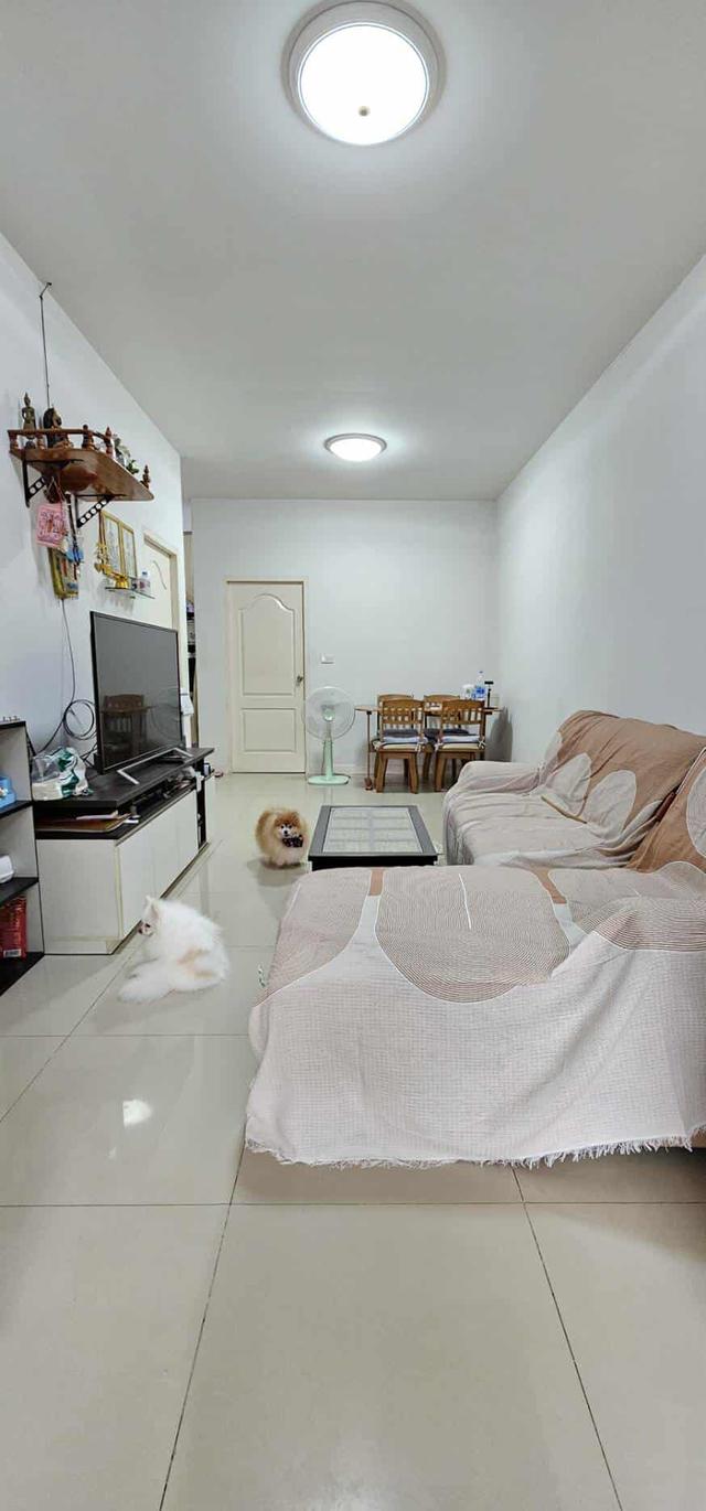 หมู่บ้านเฟอร์เฟคโฮม ถนนสายเอเชีย-โรจนะ นราวดี ซิตี้พาร์ค