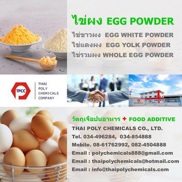 ไข่ขาวผง, Egg Albumen Powder, นำเข้าไข่ขาวผง, ส่งออกไข่ขาวผง, จำหน่ายไข่ขาวผง, ขายไข่ขาวผง 2