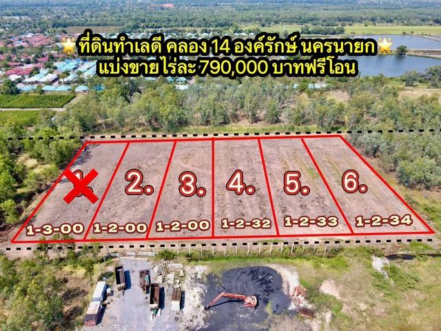 ขายที่ดินคลองใหญ่เริ่มต้น 1 ไร่ คลอง14 ใกล้ถนนรังสิต-นครนายก305-4กม. อ.องครักษ์ นครนายก 9