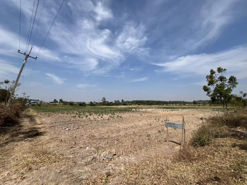 ขายที่ดินเขาหินซ้อน 25 ไร่ ติดฟาร์มเป็ดติดถนนลาดยาง ใกล้ถนนเส้น304-3กม. อ.พนมสารคาม ฉะเชิงเทรา 3