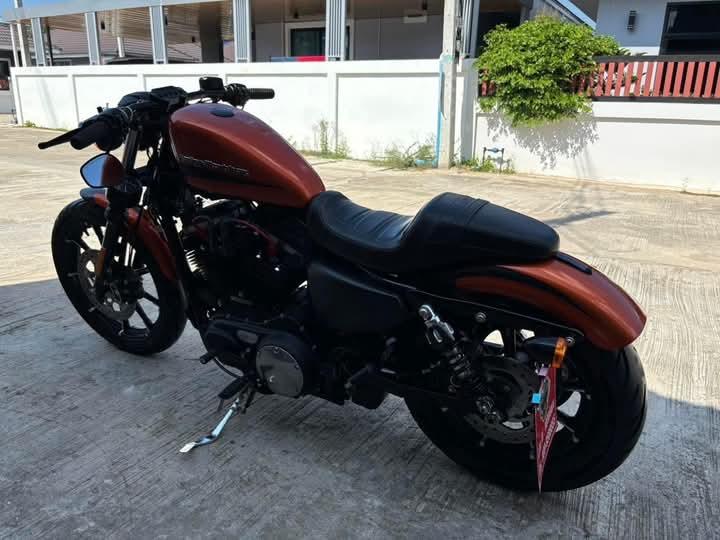 Harley Davidson Iron สีส้ม 11