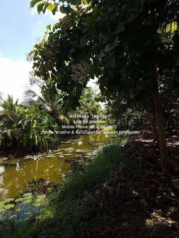 ขายที่ดินเปล่าถมแล้ว 200 ตร.ว. ติดถนนพุทธมณฑลสาย 1 ราคา 30,000,000 บาท (150,000 บาท/ตร.ว.) 6