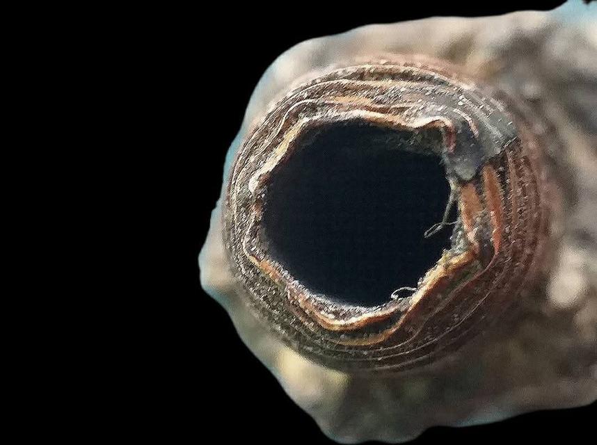 ตะกรุดมงคลโสฬส หลวงปู่เอี่ยม วัดสะพานสูง. รูปที่ 8