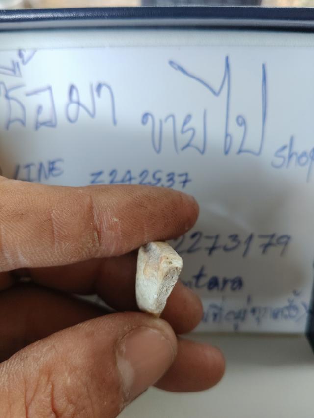 พระอะไรไม่รู้อยู่ที่บ้านครับอยากปล่อย 3