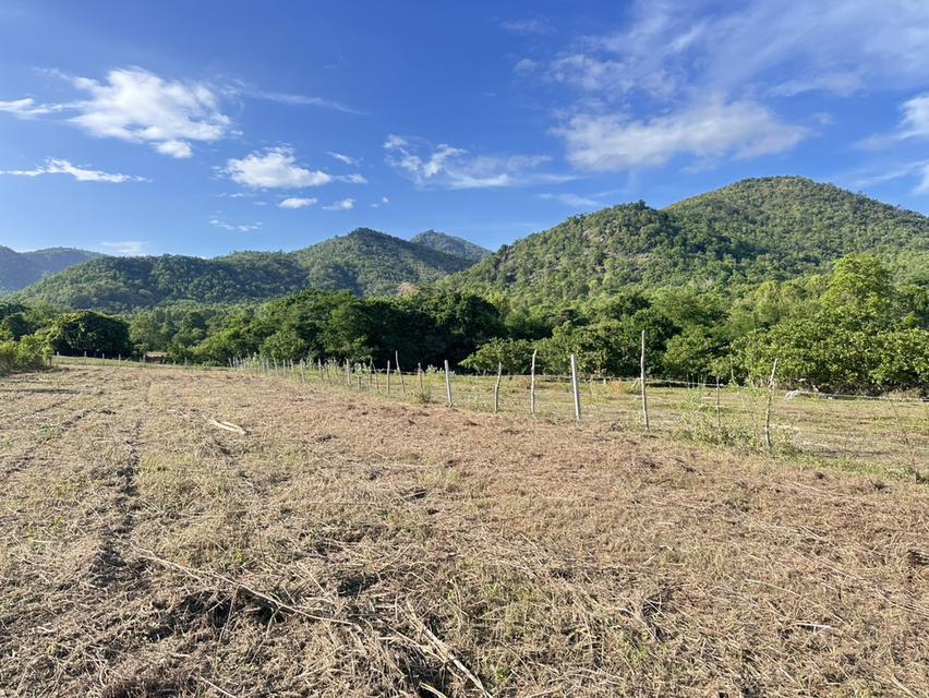 ที่ดิน พุหวาย ชะอำ จ เพชรบุรี ขนาด 6.375 ไร่  15