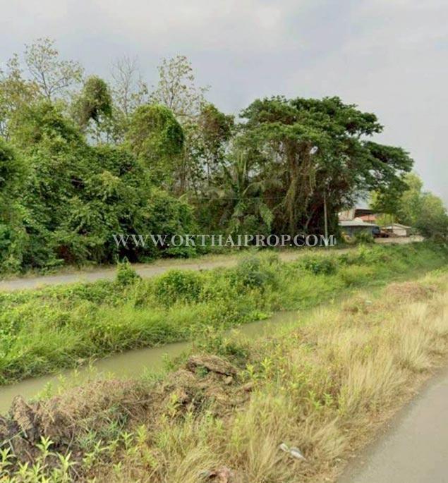 ขายที่ดินพร้อมต้นสัก ใกล้อบต.สร้อยทอง อ.ตาคลี จ.นครสวรรค์ 3