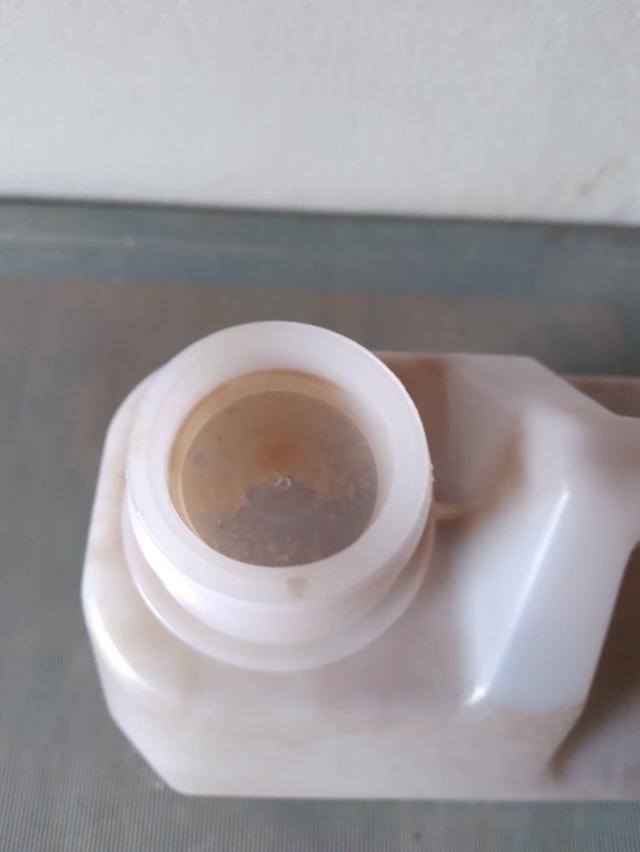 ปลาจ่อมชิวแก้วผสมกุ้ง 3