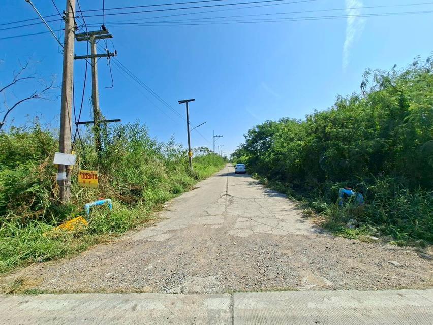 ขายที่ดินเปล่า ซอยสะพานเหลือง(คลองแอน คลอง4) คลองหลวง 5