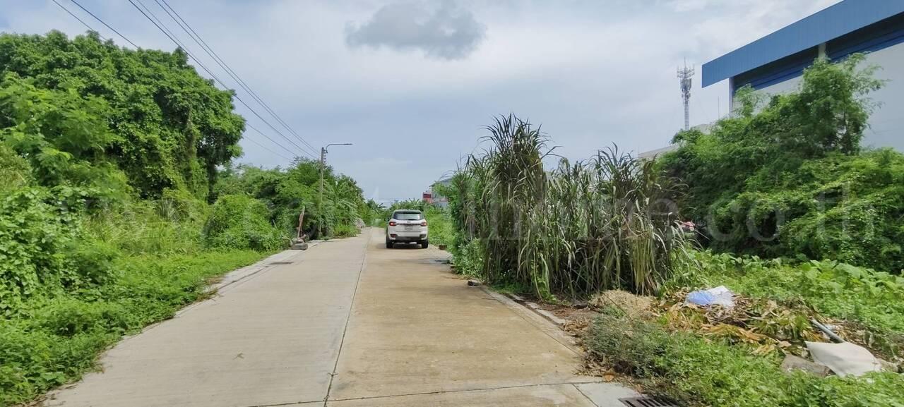 ให้เช่า ที่ดินเปล่า 60 ตร.วา ซอย บางปลา 14 บางพลี สมุทรปราการ 14