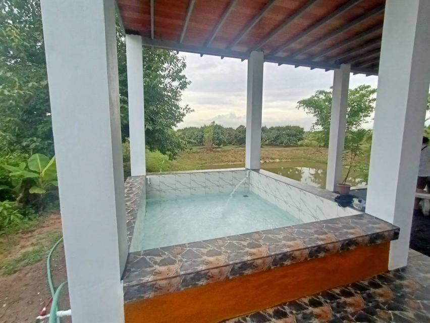 บ้านในสวนว่างให้เช่า 8