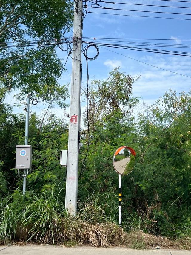 ขายที่ดินถมแล้ว 247 ตรว. ติดถนนคอนกรีต ถ.เลียบคลองบางโพธิ์ใต้ ปากซอยทับทิมแลนด์ 2 หมู่ 7 ปทุมธานี 5