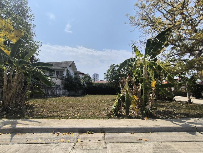 ที่ดินติดทะเล หาดแม่รำพึง 3