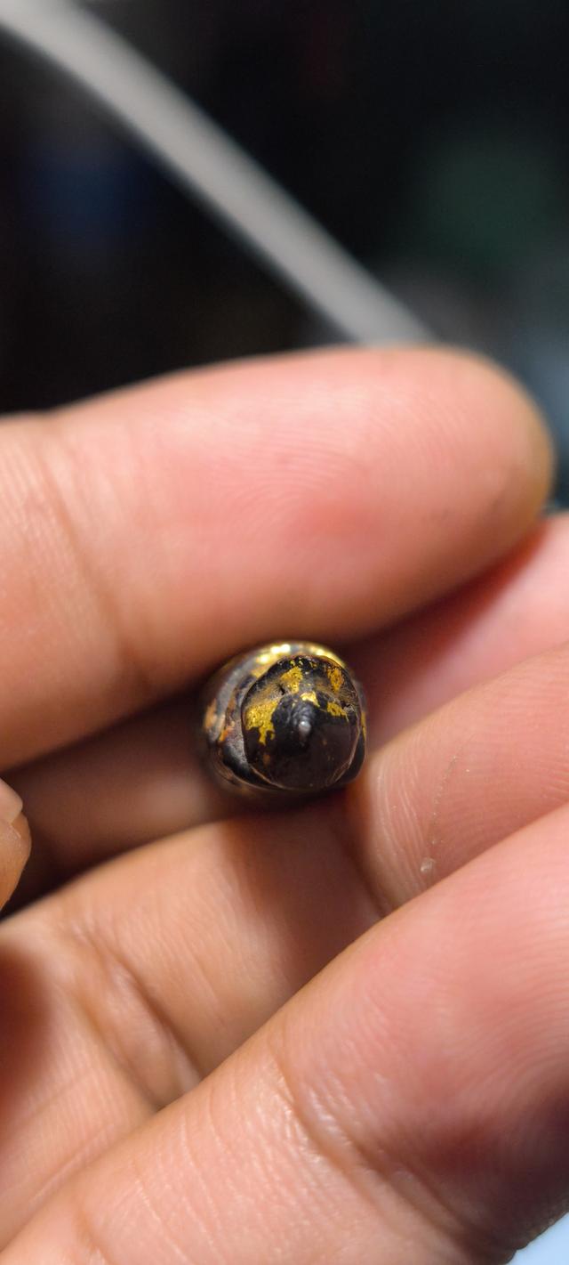 ลิงแกะลงรักเก่า ไม่ทราบที่ 6