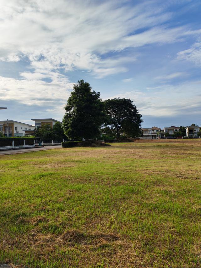 บ้านเดี่ยว ขนาด 57.5 ตารางเมตร เป็นบ้านหลังริม ติดสวนสาธารณะ 7