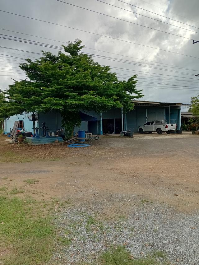 ตึกแถวชั้นเดียว ในอำเภอทองผาภูมิ 2
