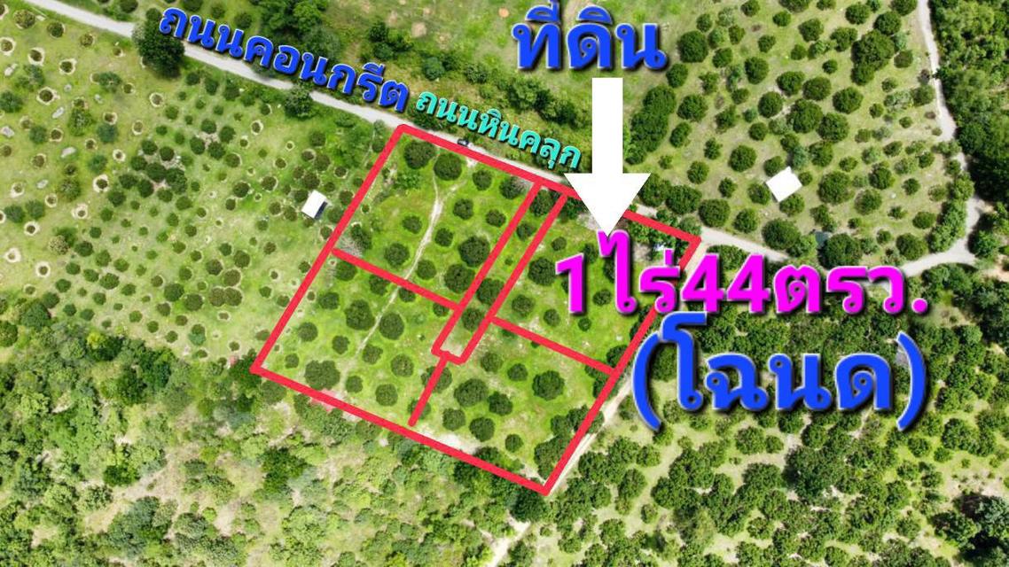 ขายที่ดินสวนลำไย แปลงสวย*ผ่อนได้เพียงหลักพันเท่านั้น 7