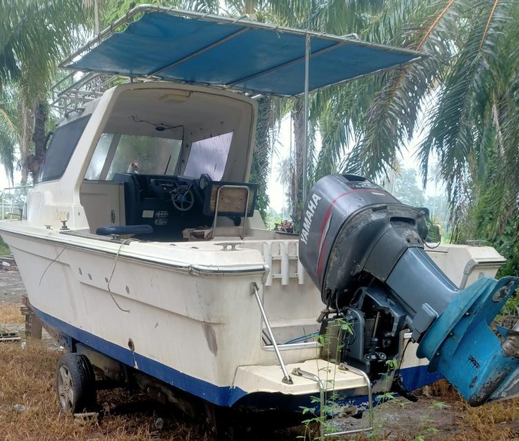 ขายเรือสปีดโบ๊ท เรือเร็ว 3