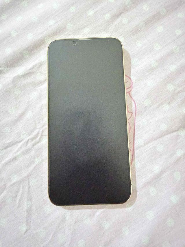 Iphone 13 Pro 256 GB