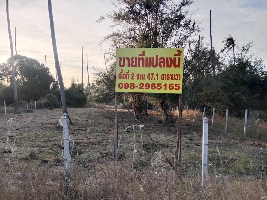 ขายที่ดิน ต.เกาะหลัก อ.เมือง จ.ประจวบคีรีขันธ์ 2
