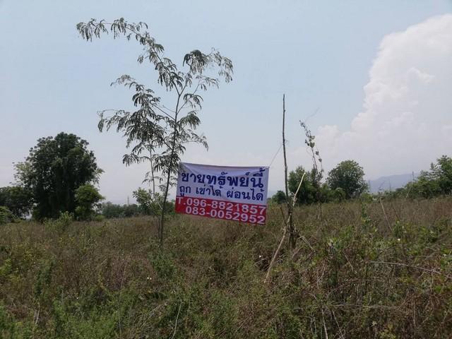 เช่าหรือซื้อยังไงก็คุ้ม เมืองบ้านตากจังหวัดตาก 3-1-40 ไร่ ติดถนนเอเซีย AH1 ติดถนนพหลโยธิน ไร่ 3ลบ. โทร 096-8821857